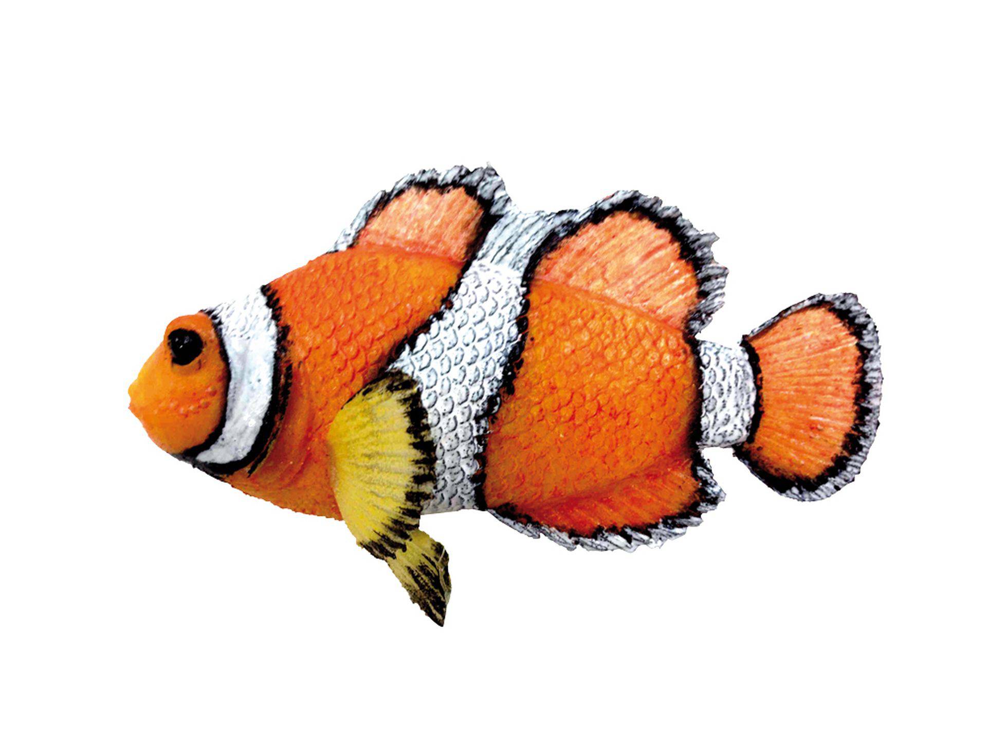 Accesorii acvarii |  "CLOWN FISH" | L10,5 X H,5 CM