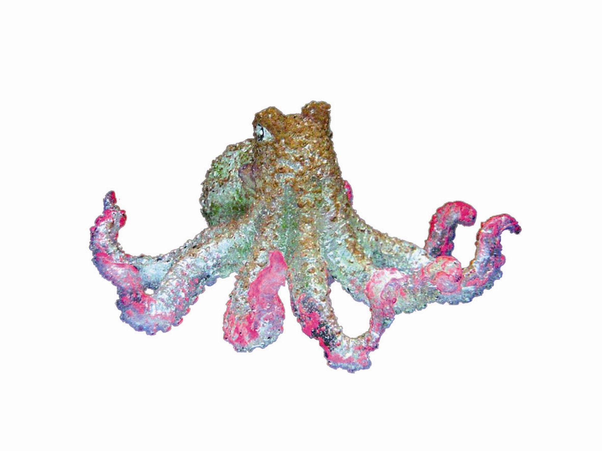 Accesorii acvarii |  "OCTOPUS" | 11 CM