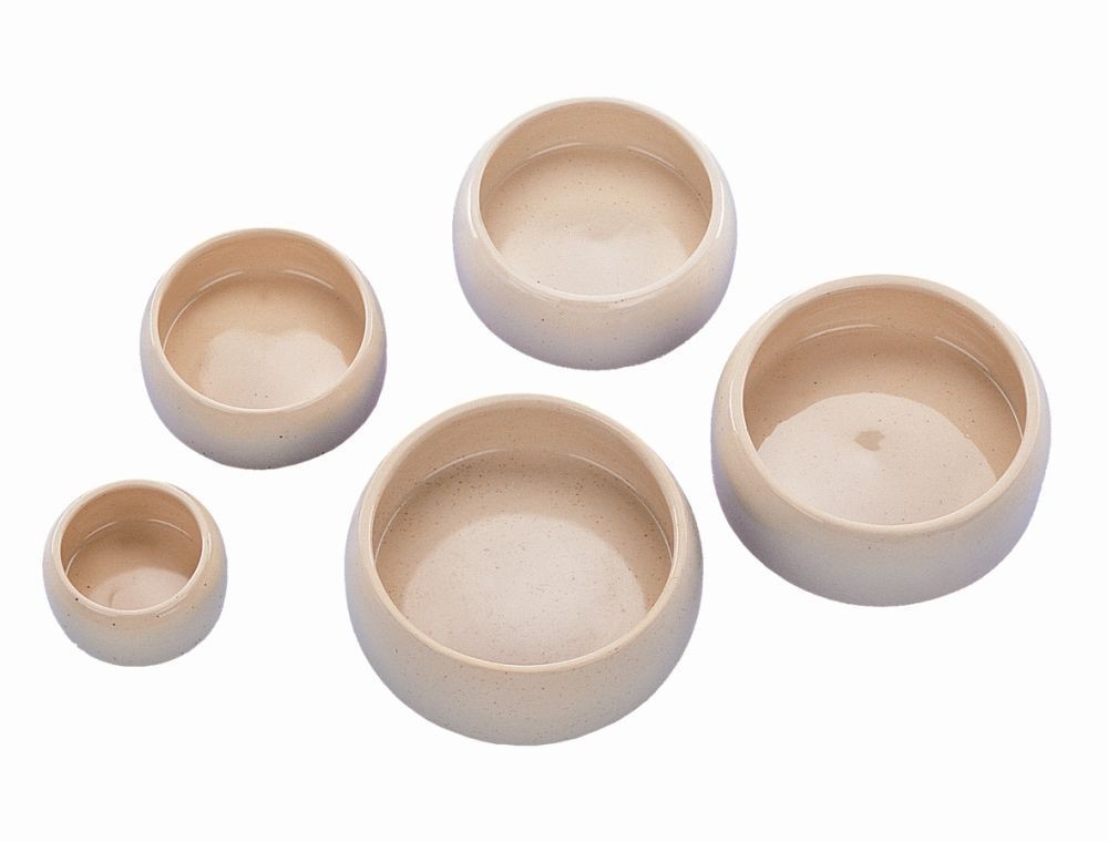 Accesorii rozatoare | Castron din ceramica pentru rozatoare | 500 ML