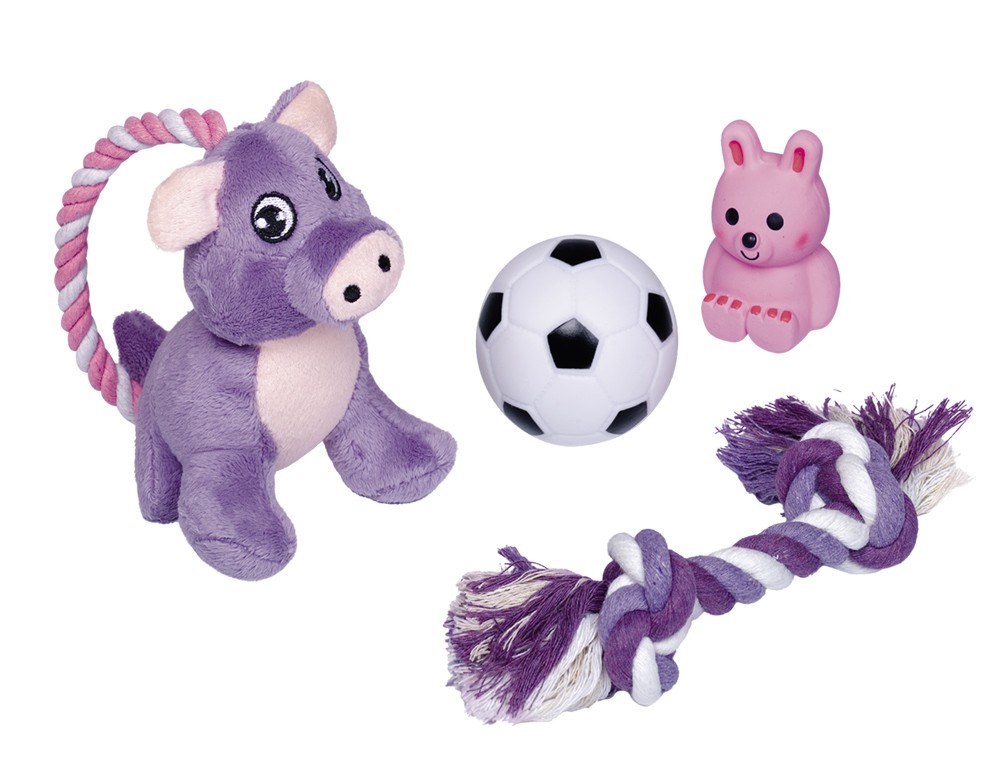 Puppy Starter Set 4 bucati Coarda cu nod (21cm)- Iepuras din latex (6,5cm), Porcusor din plus (14cm), Minge fotball (Ø7cm) cu sunet