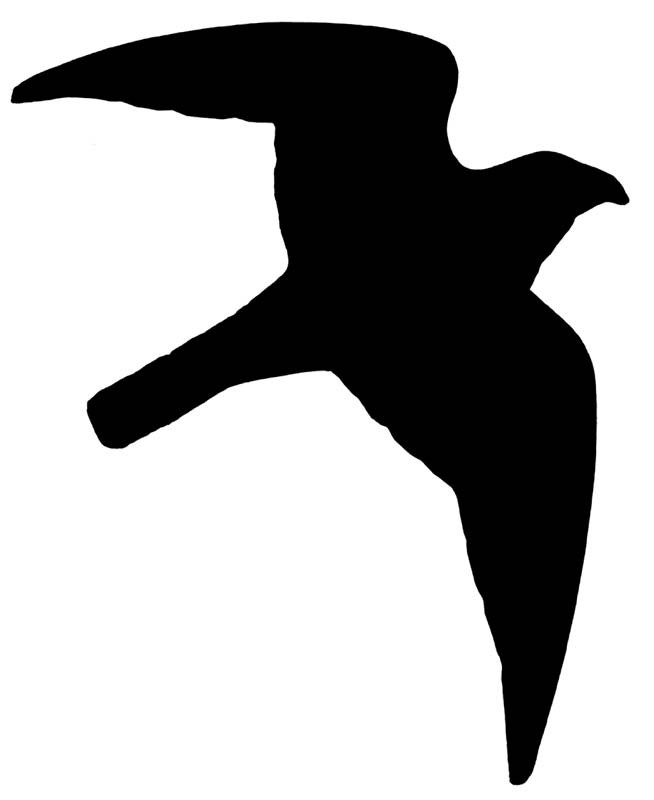 STICKER "BIRD OF PREY", 120 X 170 MM; 10 PCS